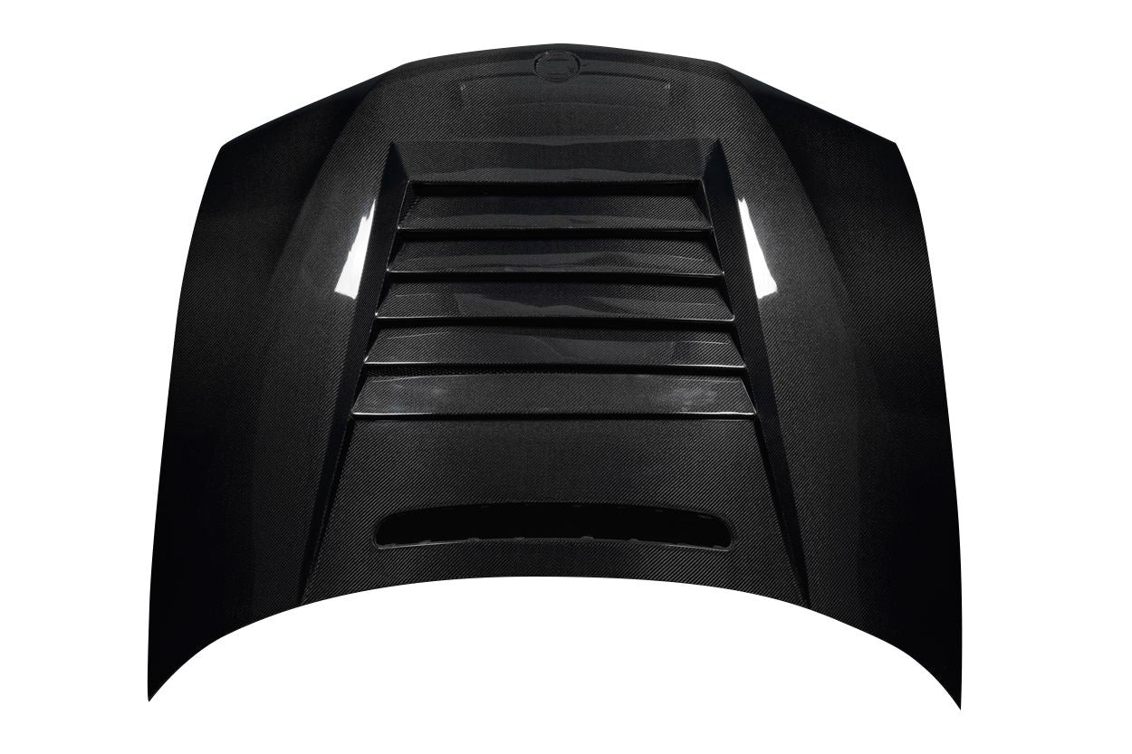 BMW 3 Series E46 Carbon Fiber D-1 Hood - Image 5