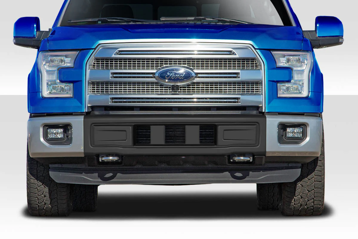 Ford F-150 (2015-2020) BSZ Front Bumper Grille - Image 5